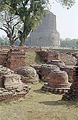 The archeologica excavations of the site of Sarnath 